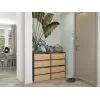 Geschlossener Schuhschrank Top E-Shop MODO ANT/ART — Anthrazit und Eiche, Spanplatte