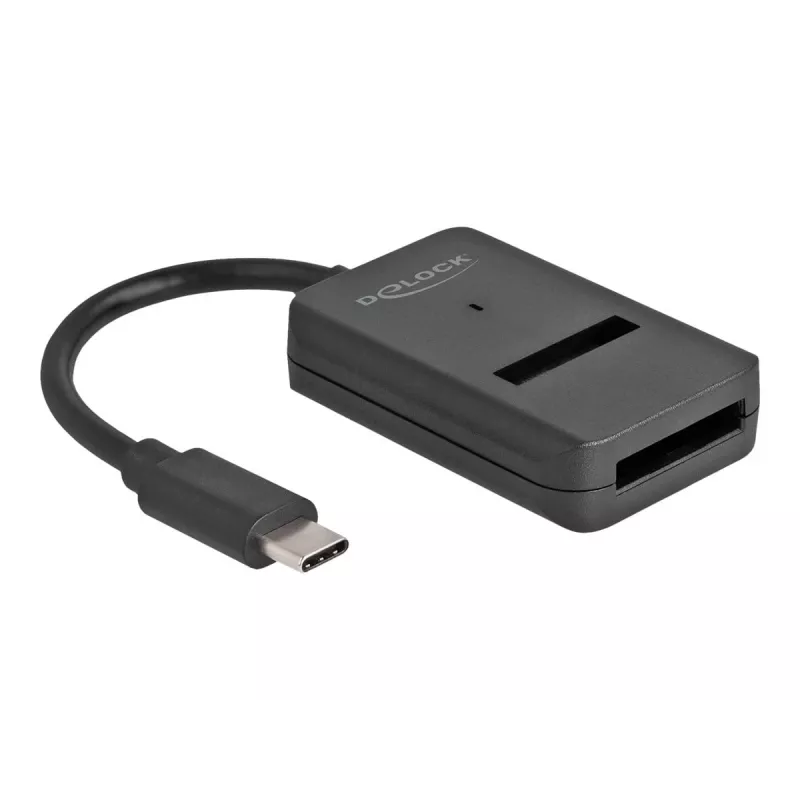 DeLOCK Combo-Konverter für M.2 NVMe PCIe SATA SSD USB Type-C 10 Gbit/s