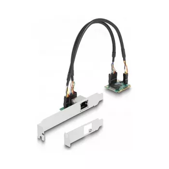 DeLOCK 95271 Interne Netzwerkkarte 2500 Mbit/s Mini PCI Express