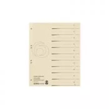 Trennbuch Herlitz 10840205 Beige Karton A4
