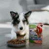 ANIMAL ISLAND Everyday Monoprotein Kalbfleisch - Nassfutter für Hunde - 300g