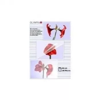 Laminierfolie Olympia 1x50 DIN A3 125 Mikron