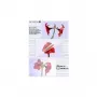 Laminierfolie Olympia 1x50 DIN A3 125 Mikron