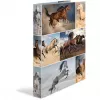 Ringbuch A4 HERMA 19360 Mehrfarbig