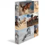 Ringbuch A4 HERMA 19360 Mehrfarbig