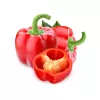 Samenpackung Seklos LT Paprika Jolanta 0,5 g – Süßpaprikasamen für den Anbau
