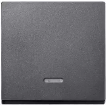 MERTEN EL SM 431014 - System M, Wippe, Kontrollfenster, Anthrazit, edelmatt (431014)