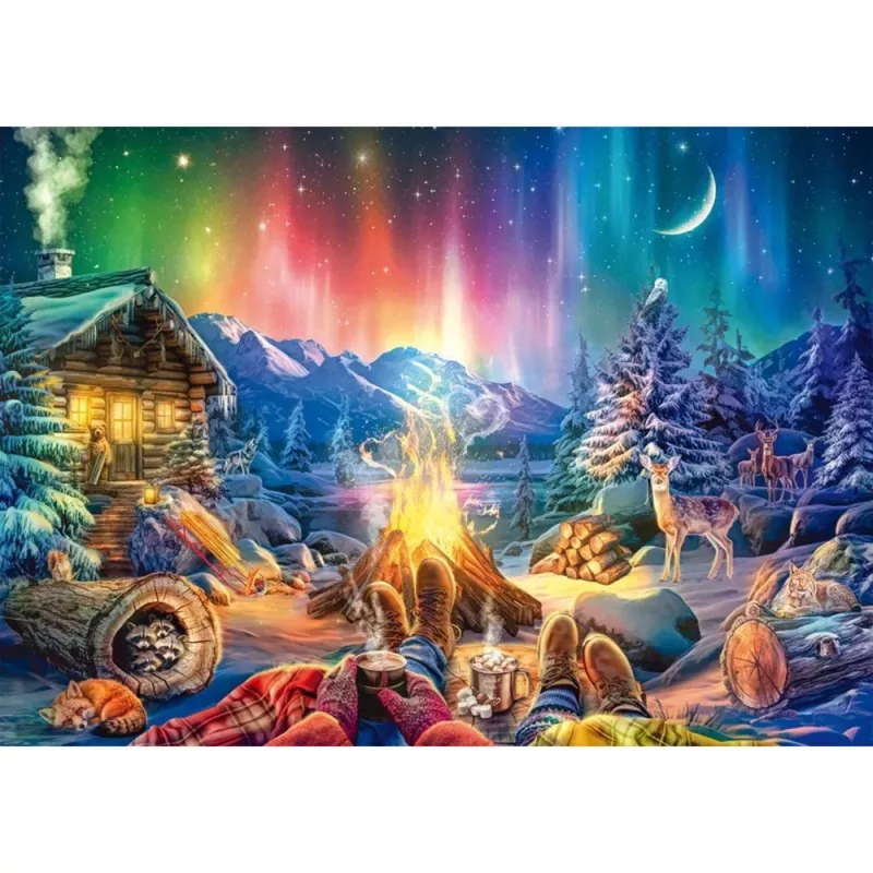Lagerfeuerromantik unterm Sternenhimmel, Puzzle 1000 Teile