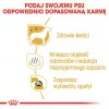 Trockenfutter für Hunde Royal Canin Maltese Adult 1,5 kg – Huhn, 24 % Protein, 18 % Fett
