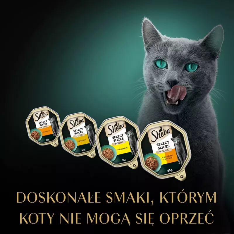 Nassfutter für Katzen Sheba Schale Sauce Geflügel (Huhn, Truthahn) 32 x 85 g Schale