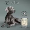 OLLO Pure Horse - Nassfutter für Hunde - 400g