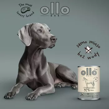OLLO Pure Horse - Nassfutter für Hunde - 400g