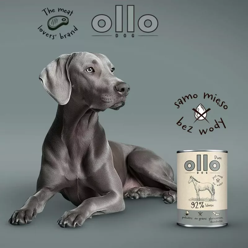 OLLO Pure Horse - Nassfutter für Hunde - 400g