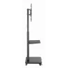 Gembird TVS-75S-02 TV-Bodenständer mit Rollen, 37 - 75, schwarz