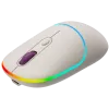 CANYON Maus MW-22 2-in-1 BT/Wireless Rice