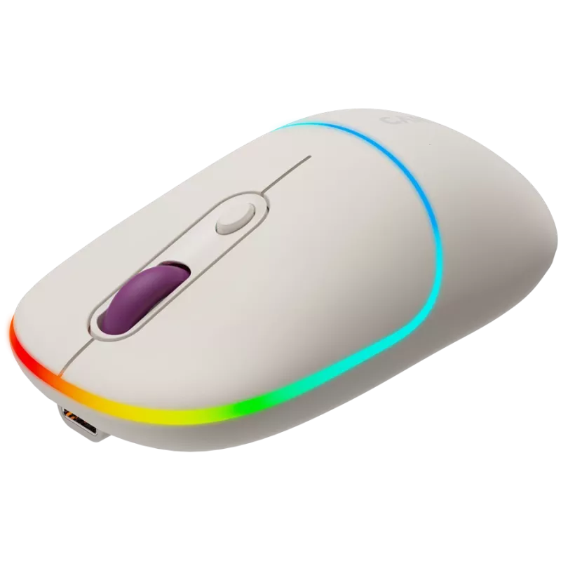 CANYON Maus MW-22 2-in-1 BT/Wireless Rice
