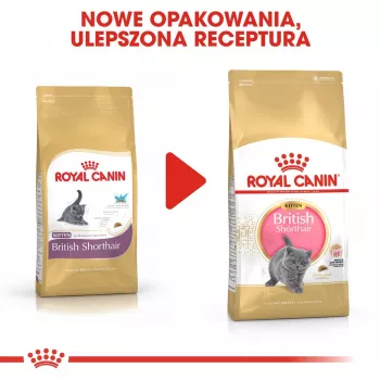 Trockenfutter für Katzen Royal Canin British Shorthair Kitten 2 kg – Huhn, 38% Protein, 20% Fett, Wachstumsformel