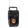 Squeak Bassblaster Bluetooth 5.1 Lautsprecher, FM-Radio, MP3-Player SQ1001