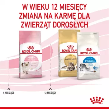 Trockenfutter für Katzen Royal Canin Kitten 4 kg Geflügel — Junior-Trockenfutter, 36 % Protein, 18 % Fett