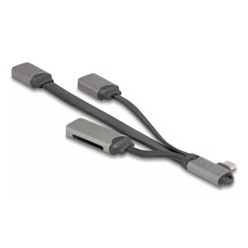 DeLOCK 64303 USB 3.2 Gen 1 Typ-C Hub 5000 Mbit/s Grau