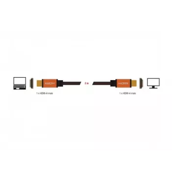 HDMI-Kabel DeLOCK 85729 2 m HDMI Typ A Standard Schwarz Gold