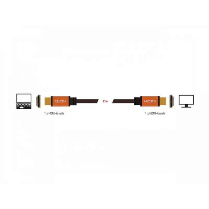 HDMI-Kabel DeLOCK 85729 2 m HDMI Typ A Standard Schwarz Gold