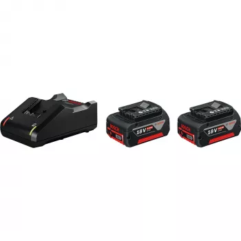 Bosch 1 600 A01 9S0 Akku-/Ladegerät-Set