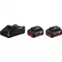 Bosch 1 600 A01 9S0 Akku-/Ladegerät-Set