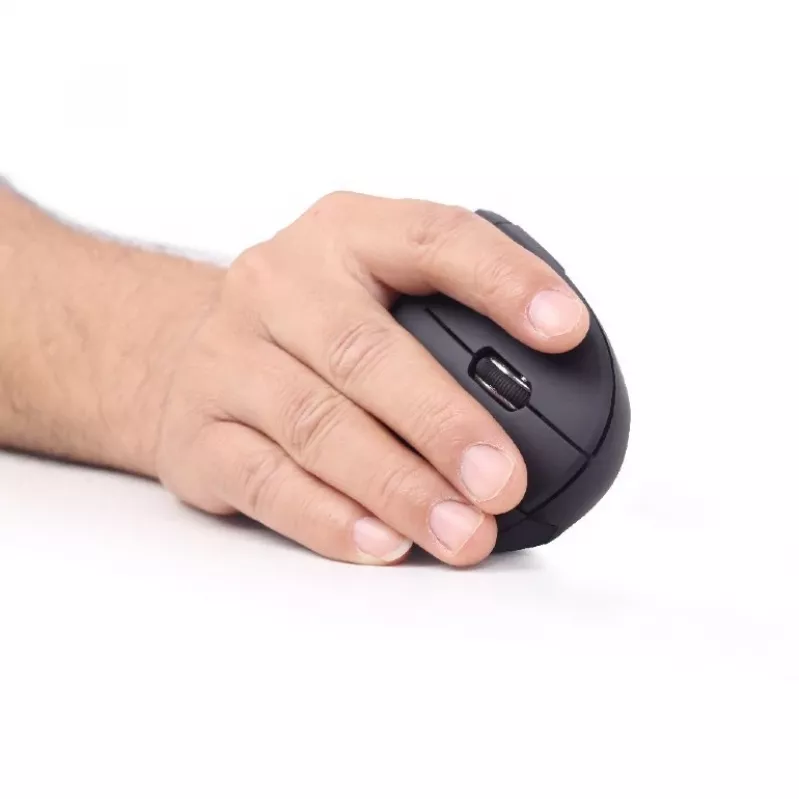 Gembird MUSW-ERGO-01 Maus für Rechtshänder RF Wireless Optisch 1600 DPI