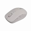 Canyon Maus MW-12 Dualband kabellos Beige - Maus - 2.400 dpi (CNS-CMSW12BG)