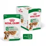 Nassfutter Royal Canin Mini Ageing 12+ Adult 85 g Beutel — kleine Rassen, Geflügel, Senior