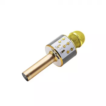 Mikrofon MANTA MIC10-G Gold Niere tragbar — Kondensator-Niere, Handdesign