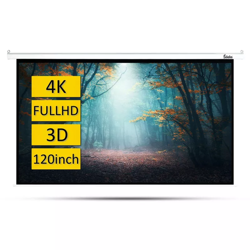 Projektionsleinwand silelis ESE-2 120 Zoll (183 x 244 cm) motorisiert mit Fernbedienung