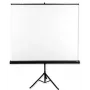 Projektionsleinwand Avtek International Tripod Standard 200