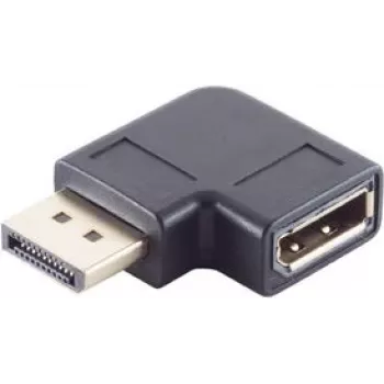 DisplayPort Geschlechtswandler-Adapter ShiverPeaks BS10-78002