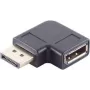 DisplayPort Geschlechtswandler-Adapter ShiverPeaks BS10-78002