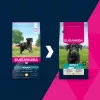 Trockenfutter für Hunde EUKANUBA Adult Large Chicken 15 kg — Trockenfutter für ausgewachsene Hunde großer Rassen, Huhn, 15 kg