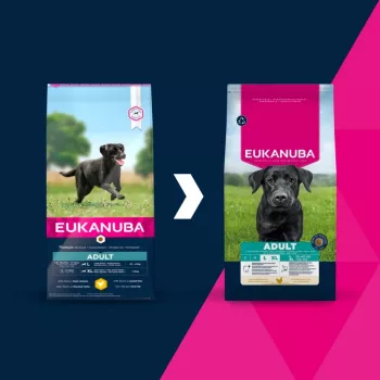 Trockenfutter für Hunde EUKANUBA Adult Large Chicken 15 kg — Trockenfutter für ausgewachsene Hunde großer Rassen, Huhn, 15 kg
