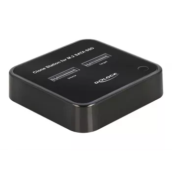 DeLOCK 64178 Dockingstation USB 3.2 Gen 2 Type-C SSD M.2