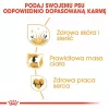 Royal Canin Cocker Adult Trockenfutter für Hunde, 12 kg