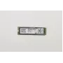 Lenovo SSD Storage SSD PM981 PCIe (01FR510)