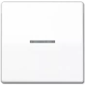 Wandmontierter Schaltereinsatz JUNG AS 591 KO5BFS WW, weiß, IP44, kompatibel mit Serien 502/503/506