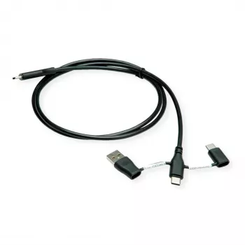 ROLINE USB 2.0 Kabel Typ C ST/ST mit Datenblockierungsadaptern A und C - Kabel - Digital/Daten