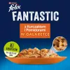 Felix Fanstastic Chicken, Tomate - Nassfutter für Katzen - 85 g