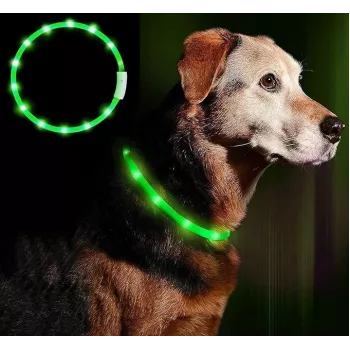 LED-Halsband Anicoll Grün für Hunde und Katzen Modell wiederaufladbare Beleuchtung