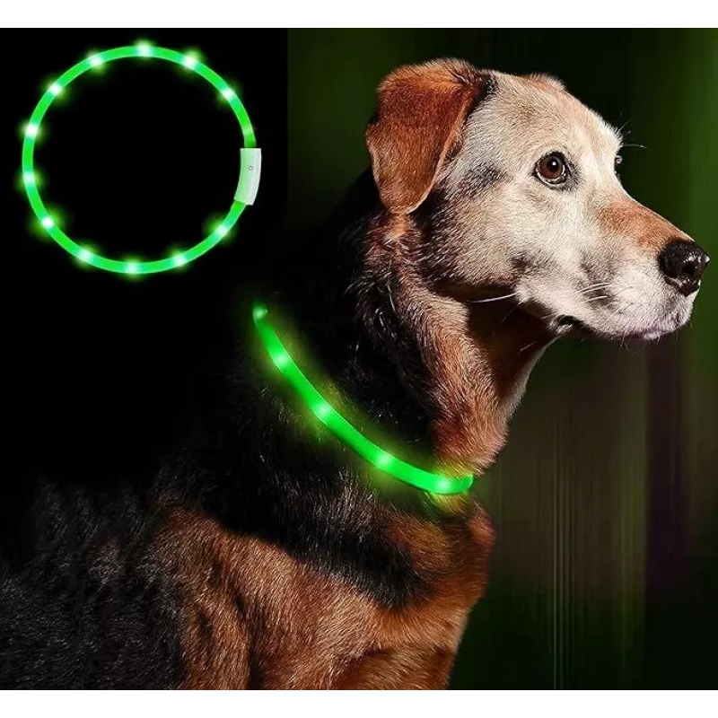 LED-Halsband Anicoll Grün für Hunde und Katzen Modell wiederaufladbare Beleuchtung