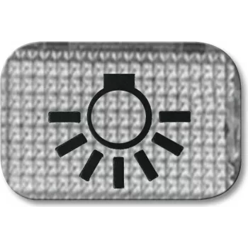 BUSCH-JAEGER Tastersymbol Licht 2145LI Duro 2000 2145LI (1714-0-0211)