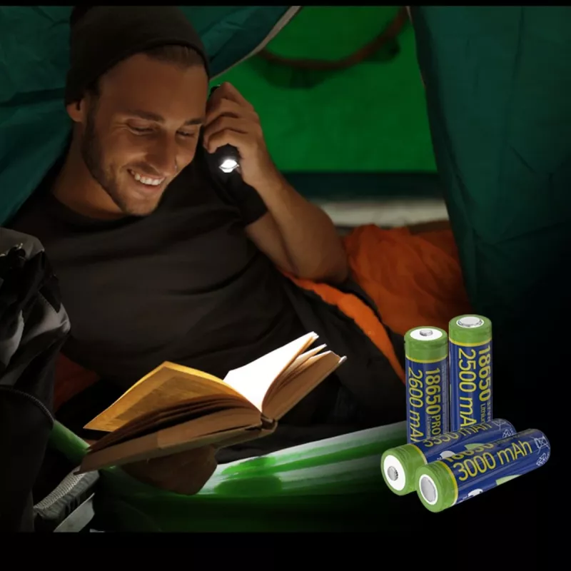 GEMBIRD Akku Li-Ion Typ 18650 10C 3000mAh