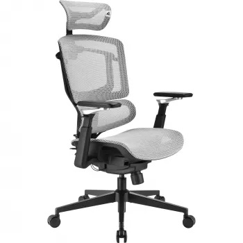 Bürostuhl Sharkoon OfficePal C50M — gepolsterte Sitzfläche, Netzrückenlehne, schwarz, Rückenlehne 49 × 63 cm, Sitzbreite 50 cm
