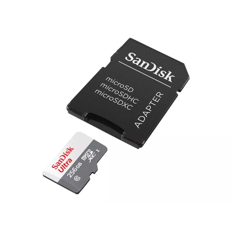 Flash-Speicher SanDisk 256 GB MicroSDXC UHS-I SDSQUNR-256G-GN6TA